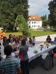 41131387_237439213614369_3686456110459387904_n