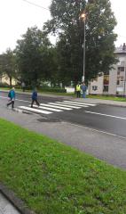 IMAG1005